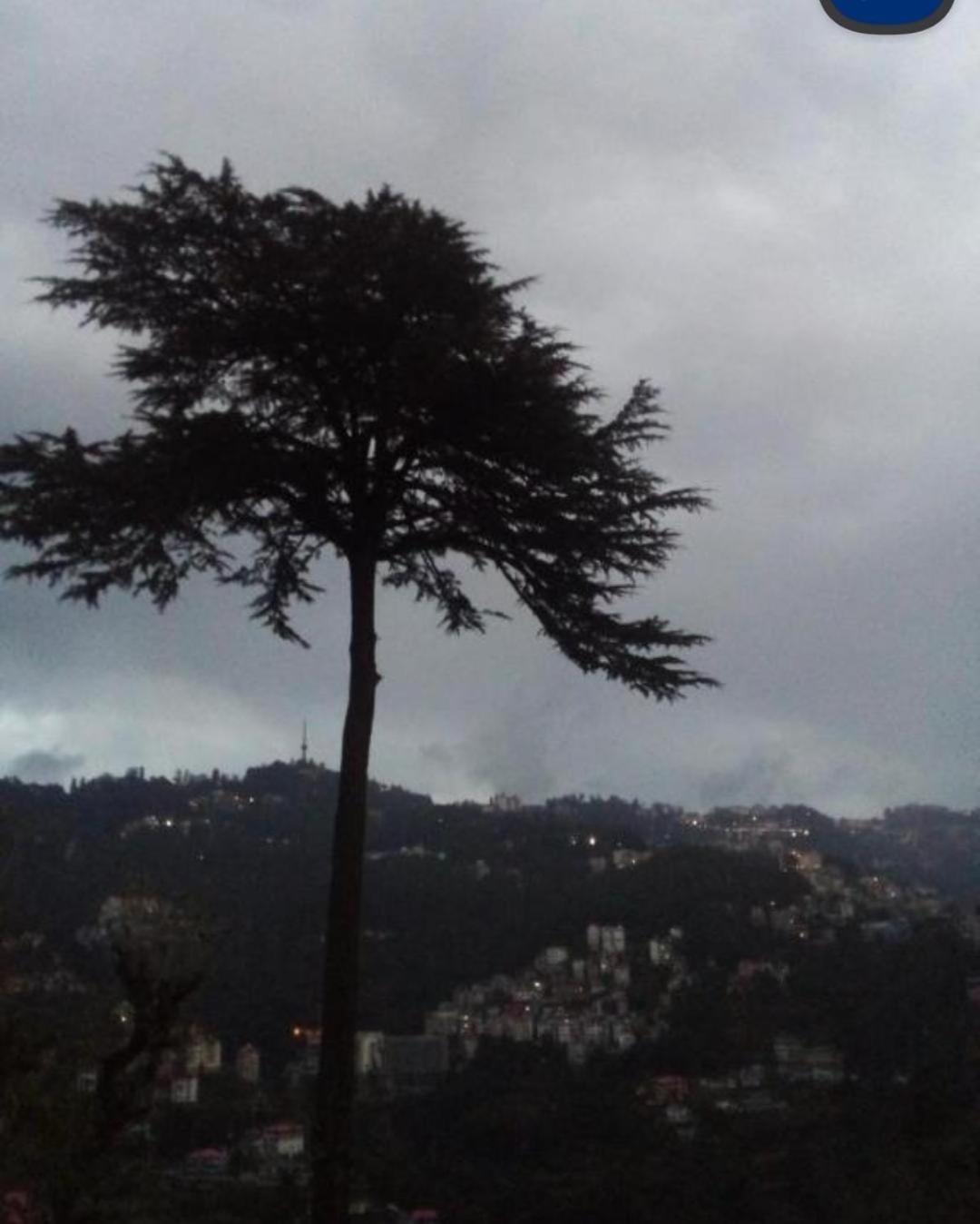 Keshav Niwas Homestay Shimla Ngoại thất bức ảnh